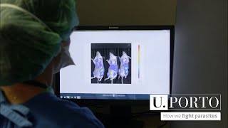 How we fight parasites