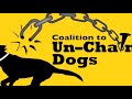 Coalition to Unchain Dogs - Flex