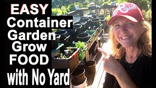 Container Gardening Grow Vegetable Garden on Patio & Compost in Place Everything