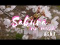 SAKURA 2020 - no music ASMR