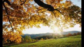 Watch Psychefunkapus Autumn Leaves video