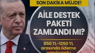 Ai̇le Destek Paketi̇ Zamlandi Mi 2023? Türkiye Aile Destek Programı Temmuz Ayı Yattı Mı, Ne Zaman Yata
