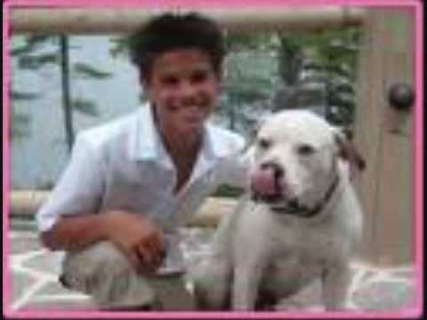 Taylor Lautner or Justin bieber dodgers billboard. Taylor Lautner or Justin