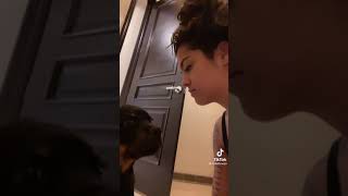 Kiss Your Dog On The Head And Record Their Reaction Tiktok Malutrevejo