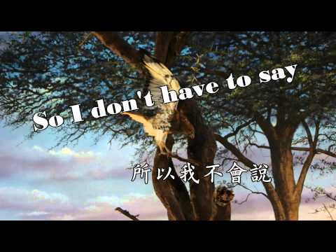 Katy perry(凱蒂佩芮)-The one that got away(離開的人是你)lyrics 歌詞 中英對照
