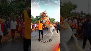 Salem Horse Jakki Video