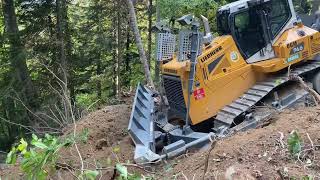 Liebherr 746 Dozer Ile Orman Yolu Yapımı
