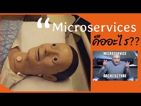 The โปรแกรมเมอร์ | Microservices คือ อะไร ฉบับเล่าไปเรื่อย - EP1