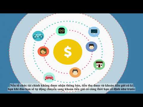 Thời hạn cố định (Fixed Term) là gì? Đặc điểm và ví dụ