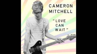 Watch Cameron Mitchell I Need Your Love video