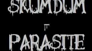 Watch Skumdum Parasite video