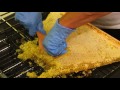 Video Top bar honey processing with Mann Lake uncapping tank