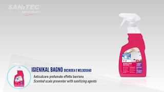 Igienical Bagno - Detergent pentru obiecte sanitare 750 ml