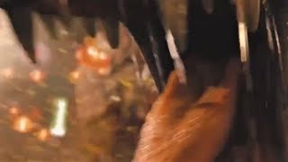 Inside An Eastern Dragons Stomach Tsa