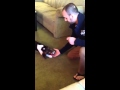 Beagle puppy fetch training
