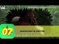 10 Fakten über Marihuana