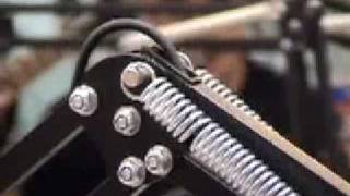 Watch Asylum Street Spankers The Scrotum Song video