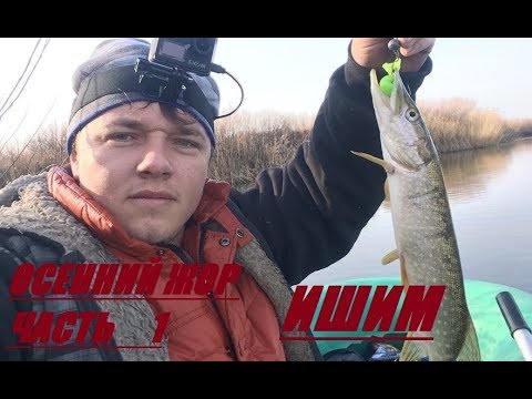 клев на холоде клев на холоде