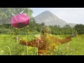 Be Avatar I - Divine Healing Chants Be Avatar I - Divine Healing Chants
