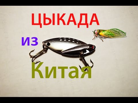 цикада блесна видео рыбалка цикада блесна видео рыбалка