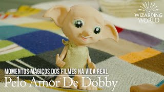 Pelo Amor De Dobby (Vida Real)| Harry Potter Momentos Mágicos Dos Filmes