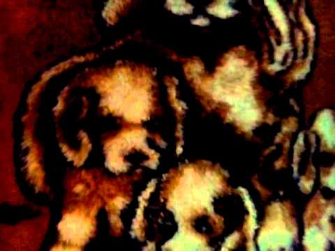 Fnaf 3 Фан Версия Fnaf 3 Фан Версия