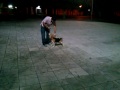 pastore 動画9a