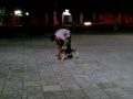 pastore 動画9c