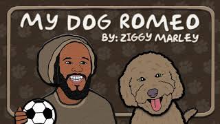Watch Ziggy Marley My Dog Romeo video