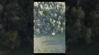 Drone Captures Footage Of Bigfoot In SE Idaho RUNNING FOR COVER!! #Shorts #Bigfo