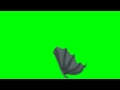 Bat or Dragon Wing Waving - Free HD Animation Green Screen