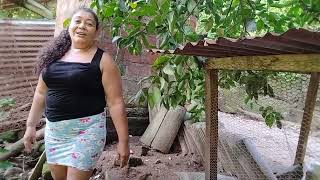 Mary Cortando Unos Ricos Limones Frescos