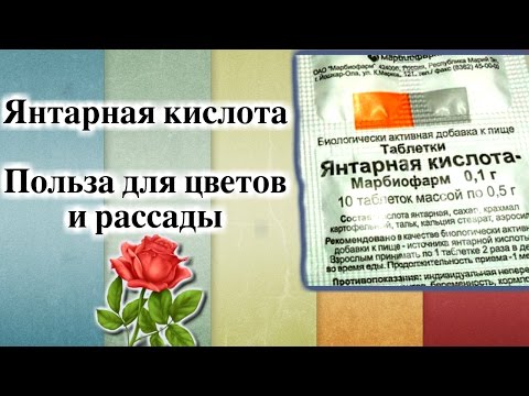 Открытки с Днем Рождения другу Оригинальные подарки для тренера Что подарить тренеру на