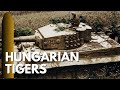 Tigers and Panthers in the Hungarian Army