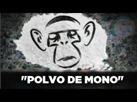 La droga que te convierte en zombie : "Polvo de mono"