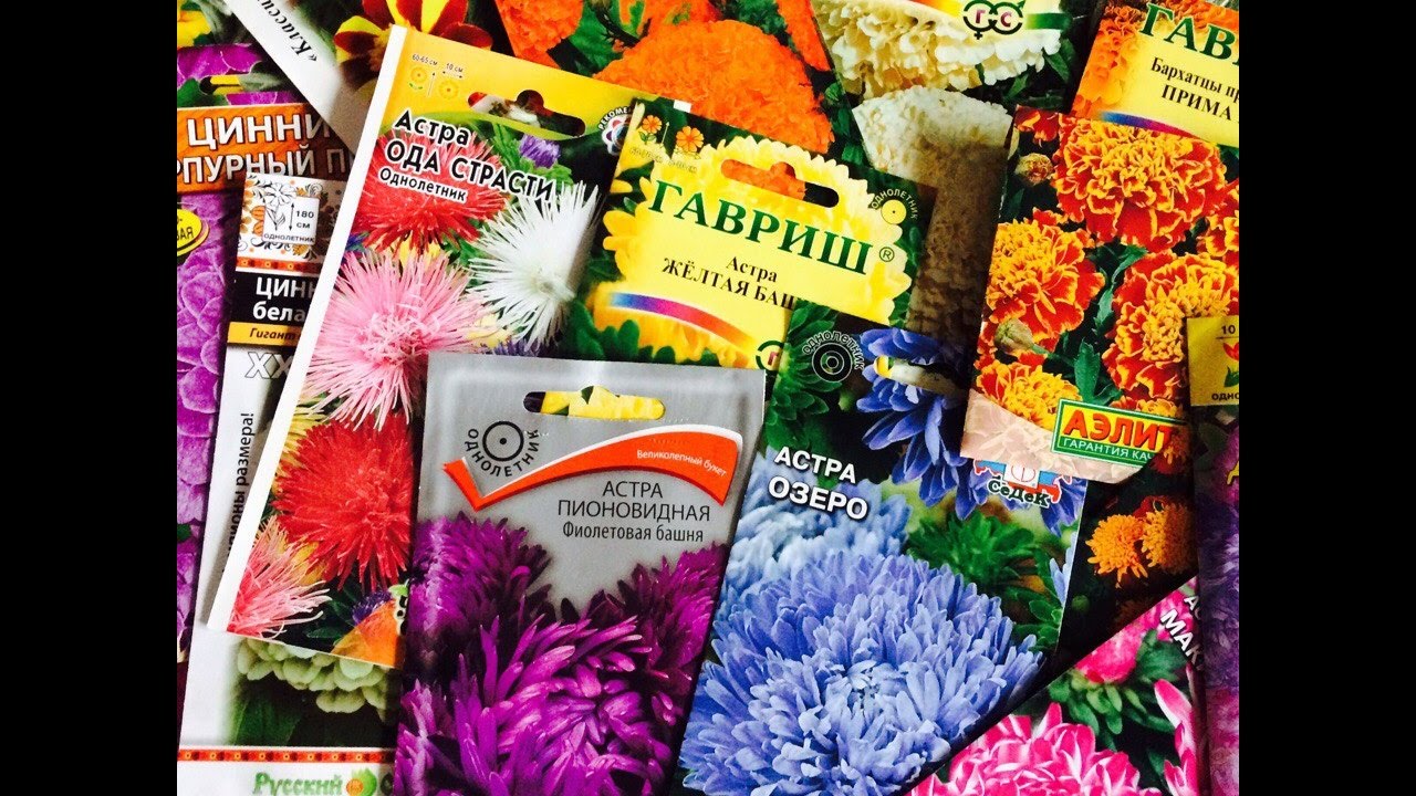 Семена цветов которые сажают в грунт 880