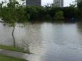Tags: slowstick, houston, texas, brushless, gws, flying, air, aviation, park