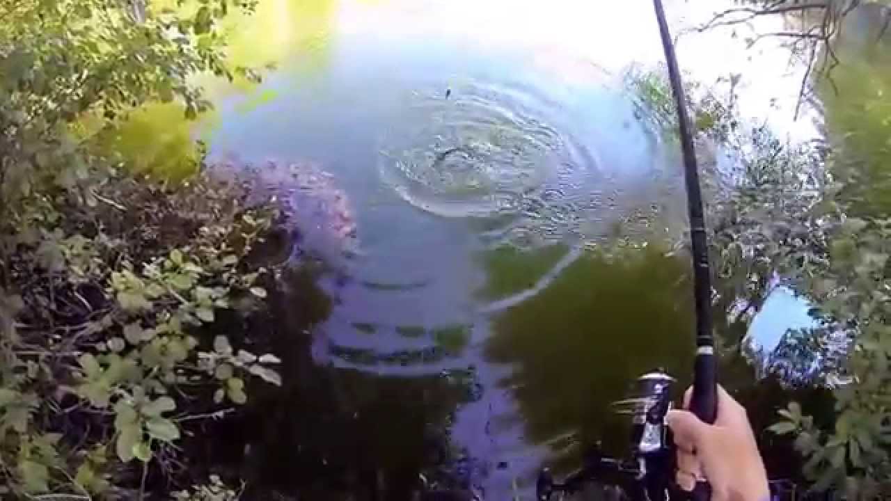 La photo sur la pêche dans le domaine de Mourmansk