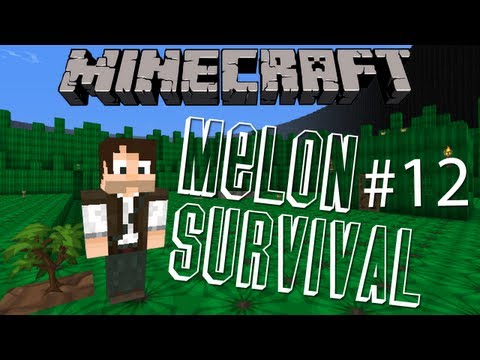 Dumb Melon