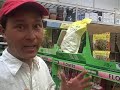 Grow Your Own Donuts From Seed in Your Garden