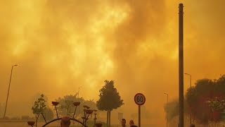 Wildfire Breaks Out In Jereselem Amid Heat Wave Forcing Evacuations