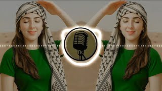 Teebat Galbi New Arabic Remix 2025 Slowed Reverb Dj B Boosted