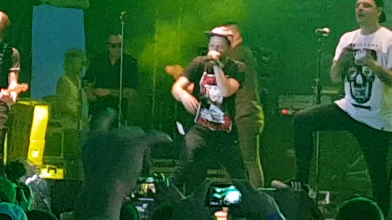 Тараканы самый счастливый человек на земле feat.anacondaz текст Лишение водительских прав. Что делать?