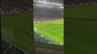 9q-K9g6n8y4 Video Image