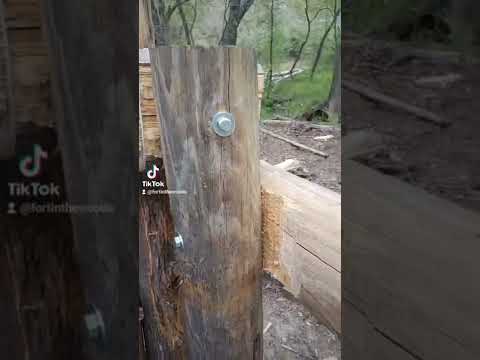 Building a epic log fort! This is going to be huge! sub and join the build! #fort #shorts