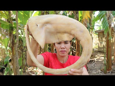 Awesome Cooking Oxtail Soup Recipe Delicious - Oxtail Soup Cooking - Primitive Technology