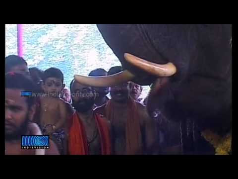 Feast for Elephants at Thrissur Vadakkumnatha Temple