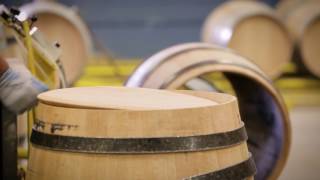 Shafer Barrel 2017