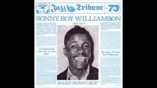 Watch Sonny Boy Williamson Blues That Made Me Drunk video