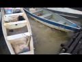 Feeding piranhas in a river in Brazil
